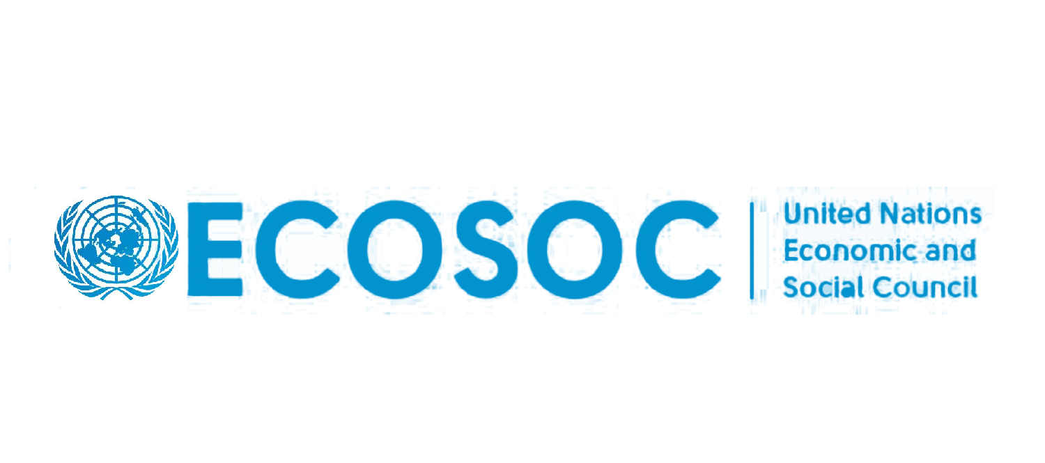 Logo ECOSOC